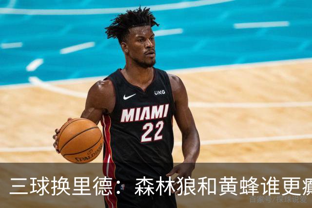 三球换里德：森林狼和黄蜂谁更癫？！