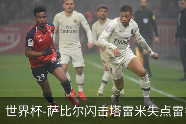 世界杯-萨比尔闪击塔雷米失点雷扎伊扬扳平 半场埃及1-1伊朗